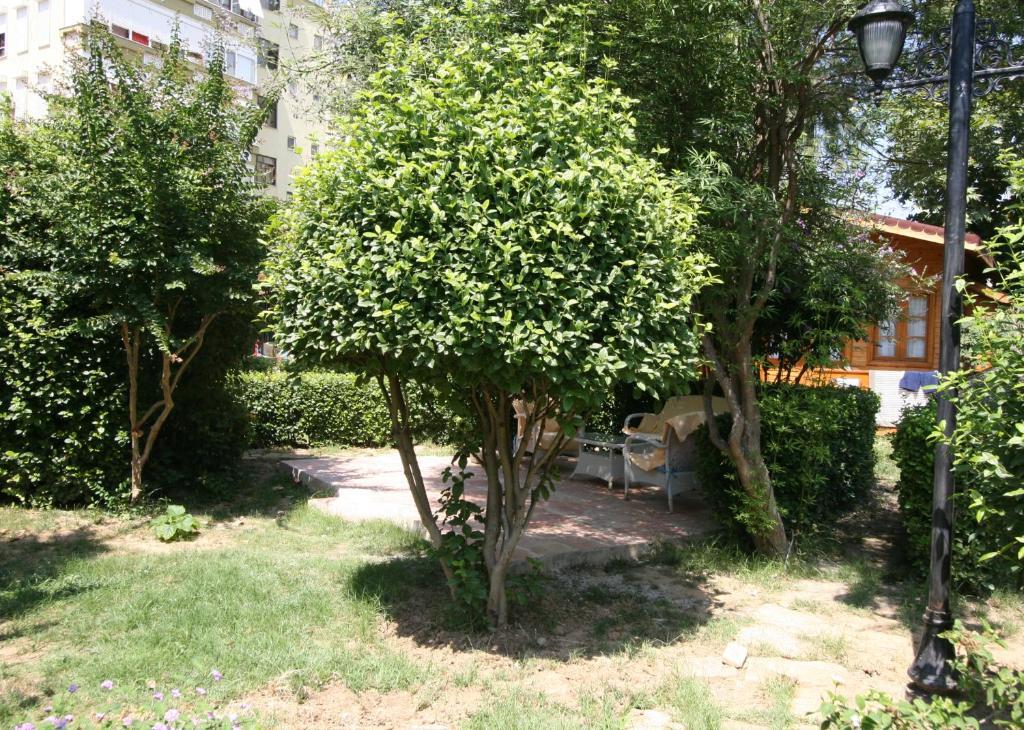 Sevkibey Hotel Alanya Exteriör bild