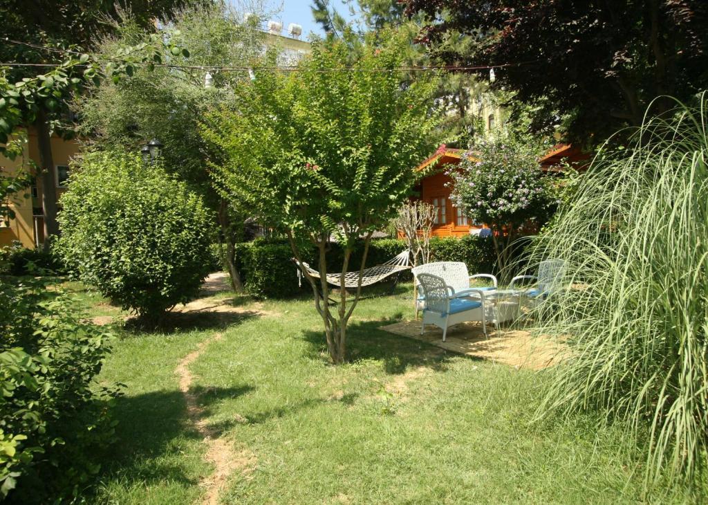 Sevkibey Hotel Alanya Exteriör bild