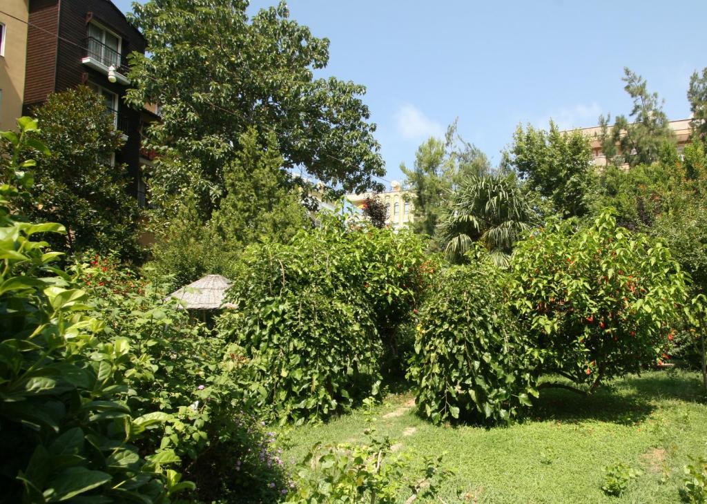 Sevkibey Hotel Alanya Exteriör bild